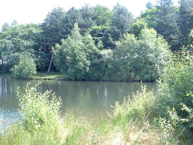 Wharncliffe Fly Fishery